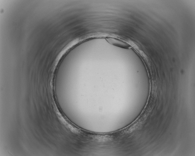 X0000085001189200703261120