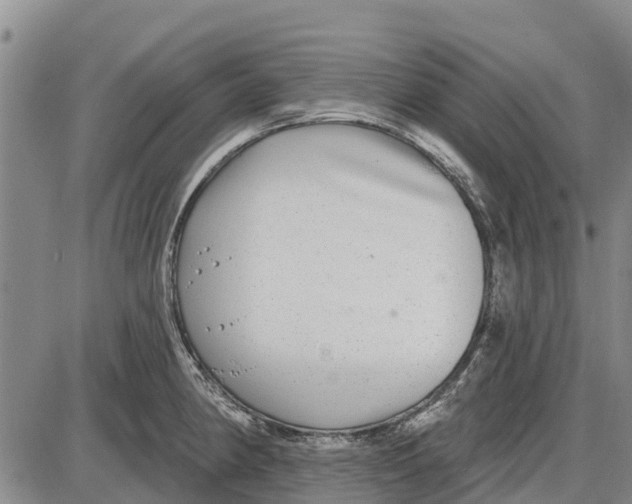 X0000085001190200703261120