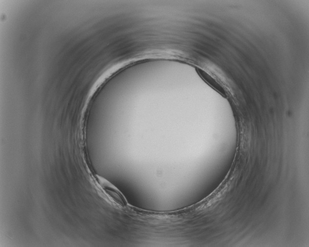 X0000085001192200703261120