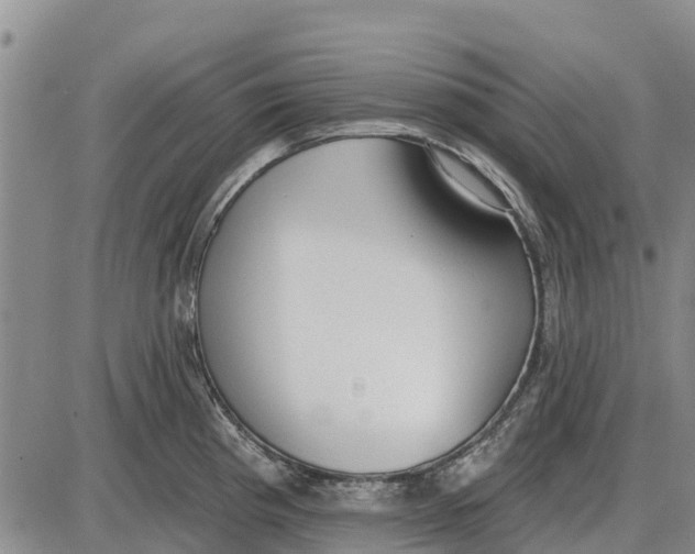 X0000085001193200703261120