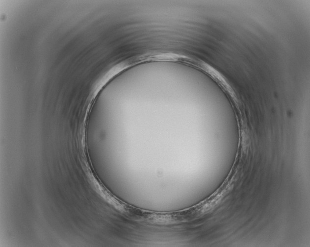 X0000085001194200703261120