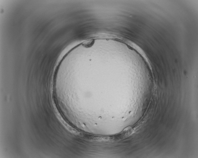 X0000085001195200703261120