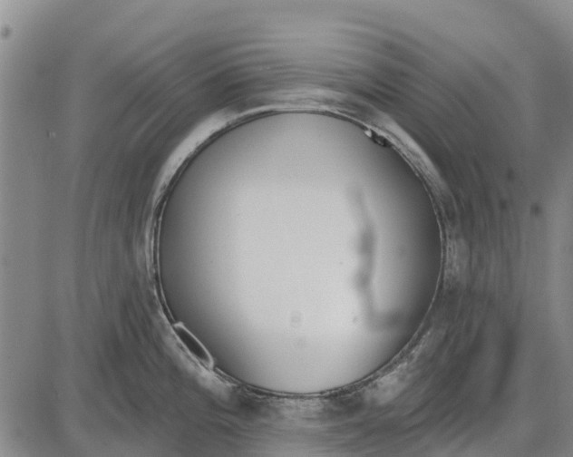 X0000085001196200703261120