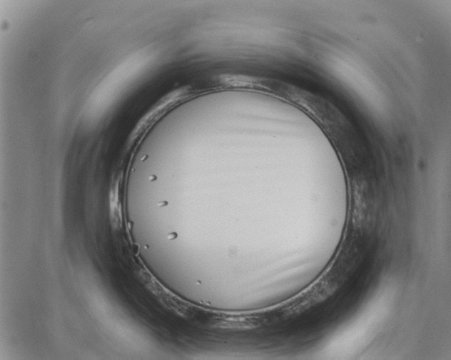 X0000085001198200703261120