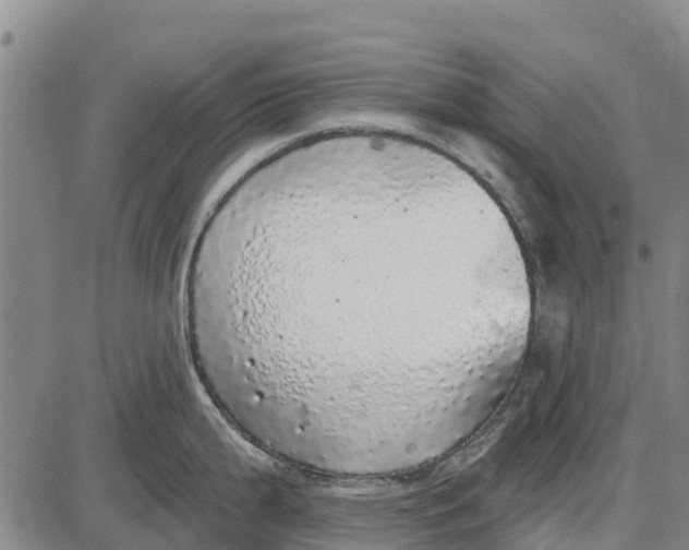 X0000085001199200703261120