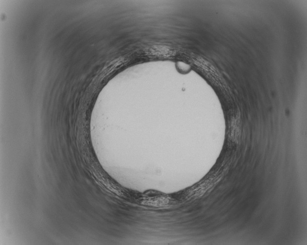 X0000085001201200703261119