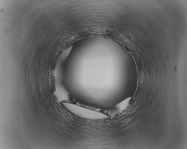 X0000085001202200703261120