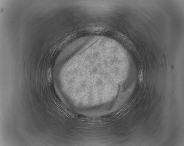 X0000085001204200703261120