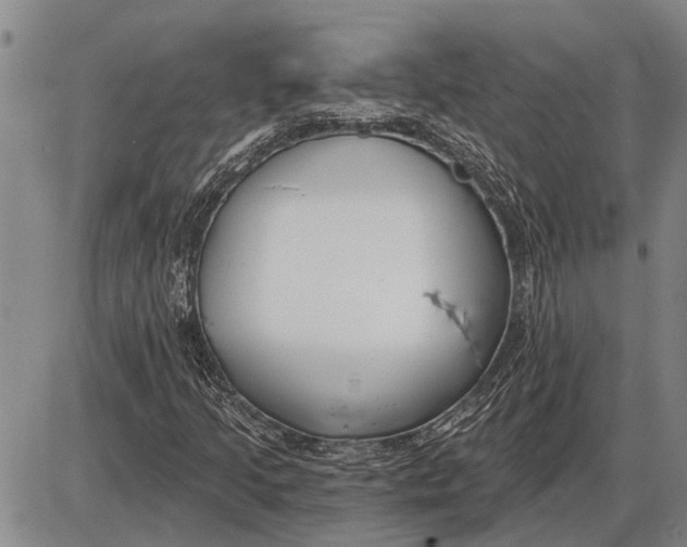 X0000085001205200703261120