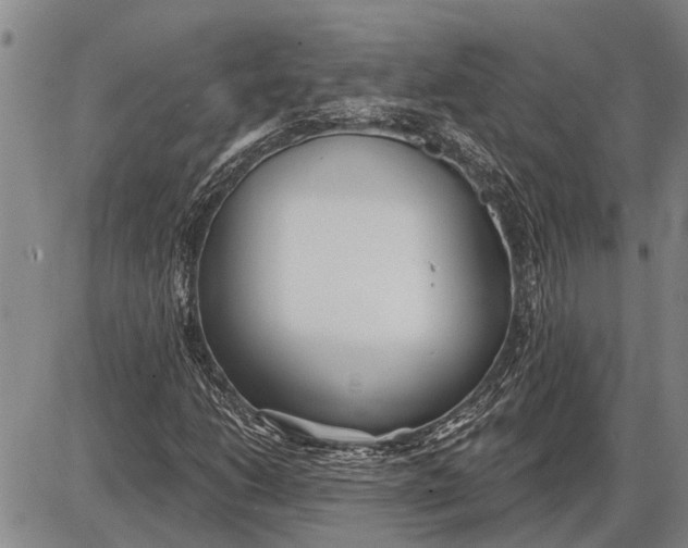 X0000085001206200703261120