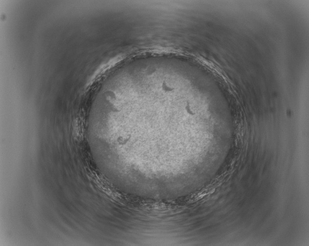 X0000085001207200703261120