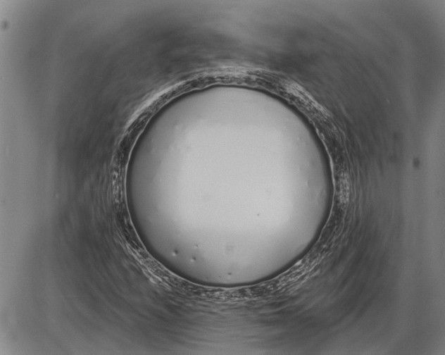 X0000085001208200703261120