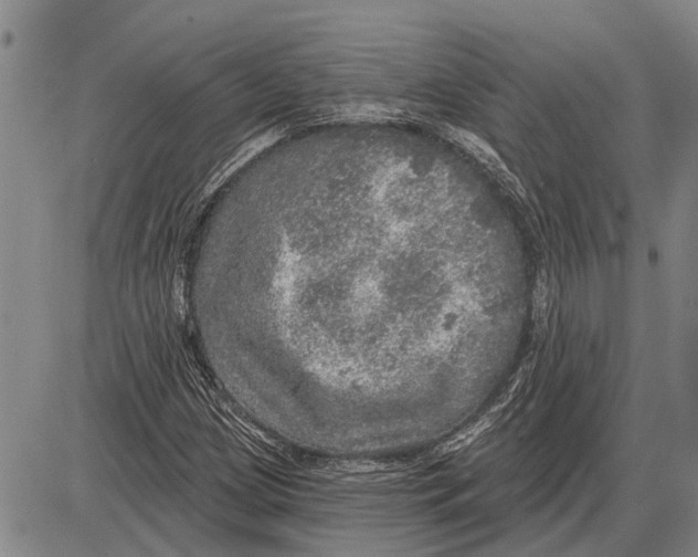 X0000085001209200703261120