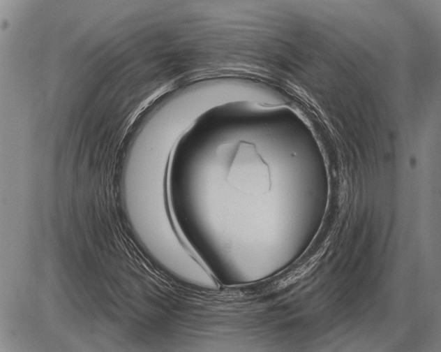 X0000085001210200703261120