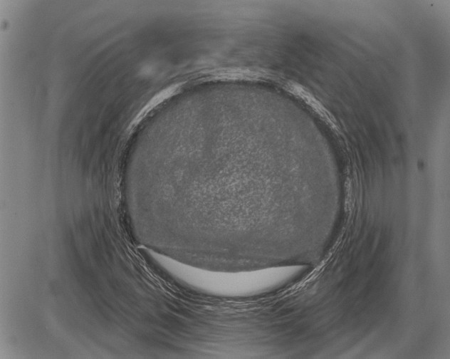 X0000085001213200703261120