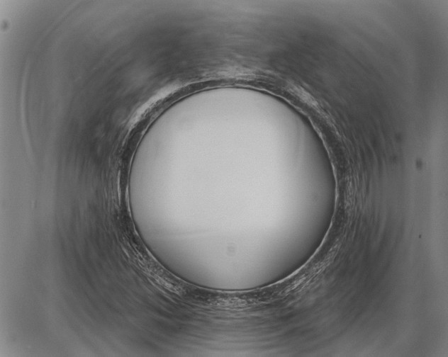 X0000085001214200703261120