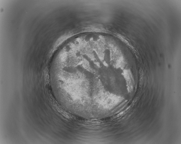 X0000085001215200703261120