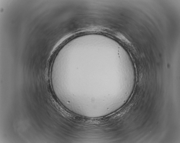 X0000085001216200703261120