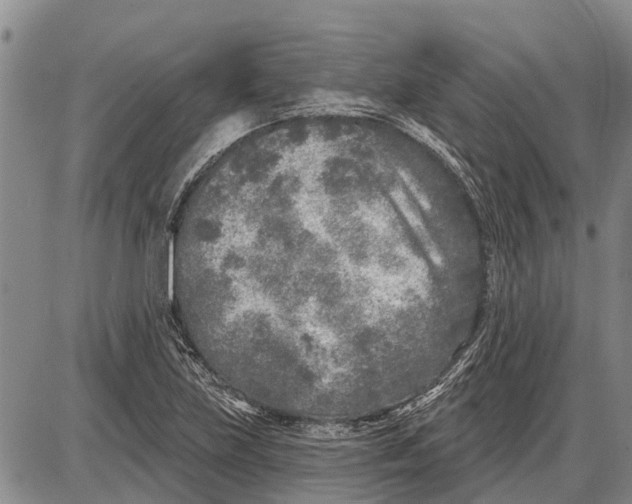 X0000085001219200703261120