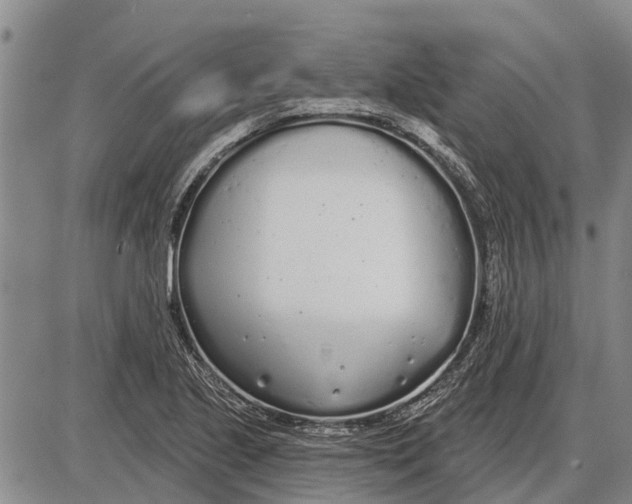 X0000085001221200703261120