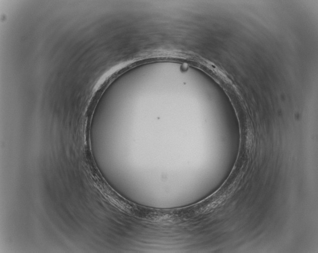 X0000085001222200703261120