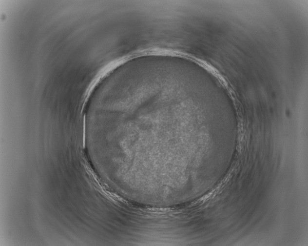 X0000085001223200703261120