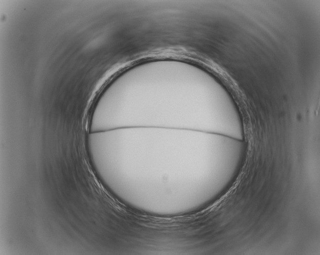 X0000085001224200703261120