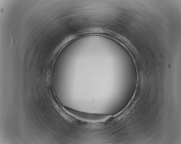 X0000085001225200703261120