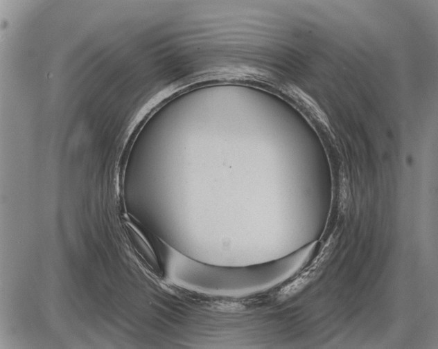 X0000085001226200703261120