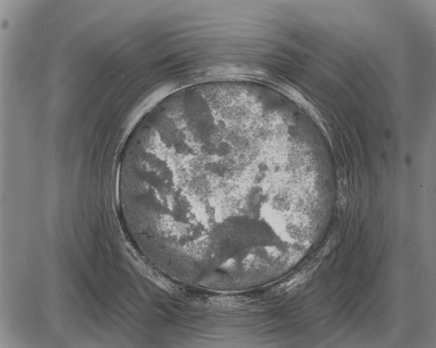 X0000085001227200703261120