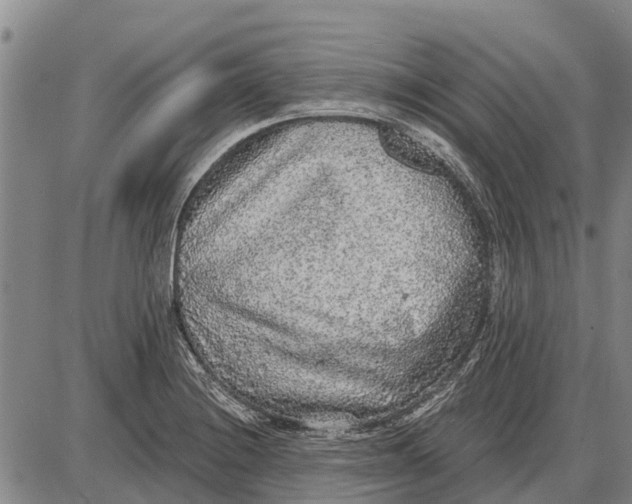 X0000085001228200703261120