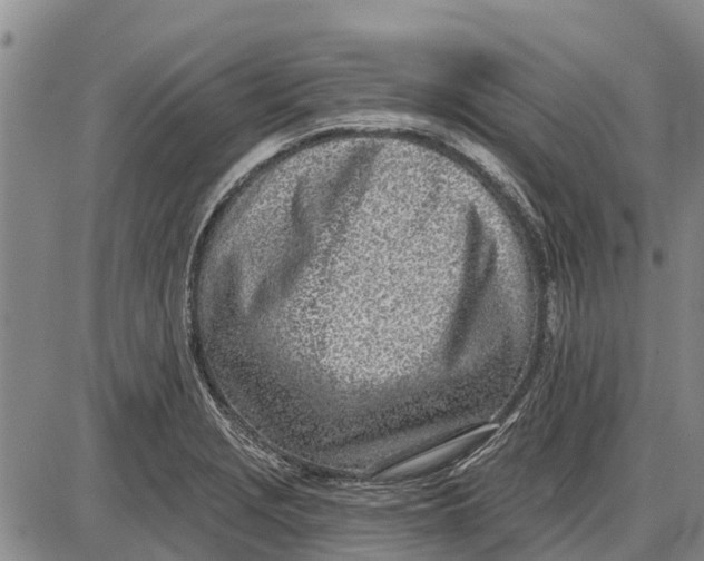 X0000085001229200703261120