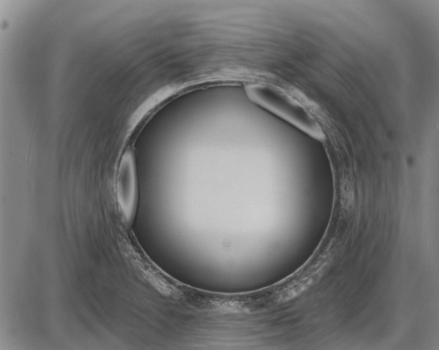 X0000085001230200703261120