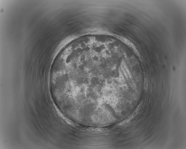 X0000085001231200703261120