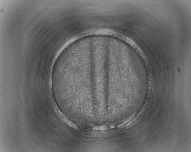 X0000085001232200703261120