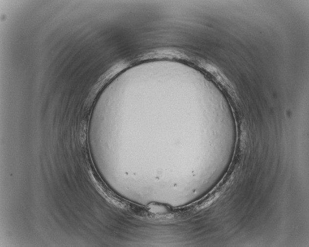 X0000085001233200703261120