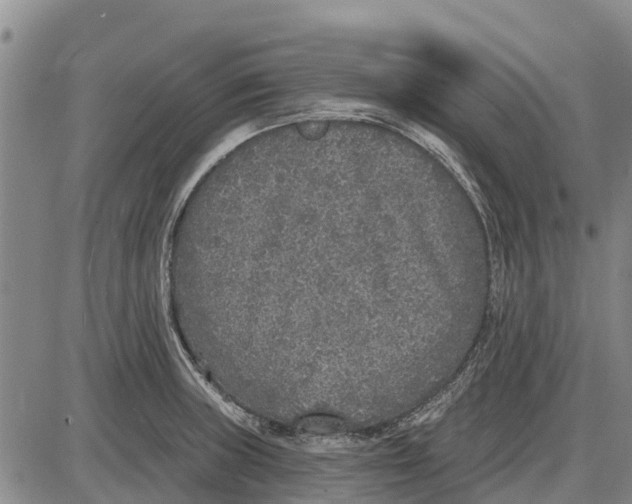 X0000085001235200703261120