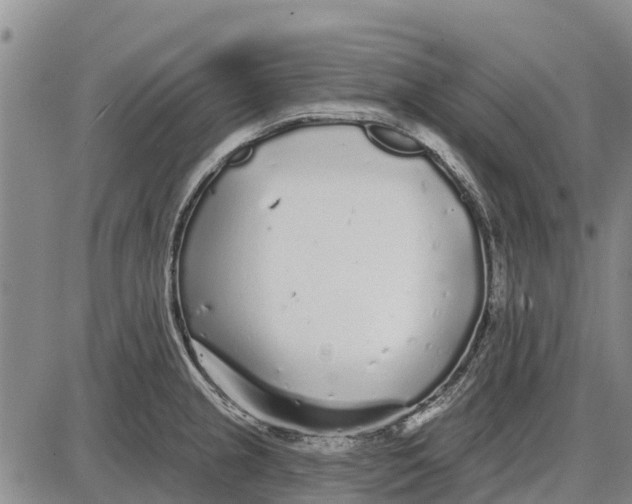 X0000085001237200703261120