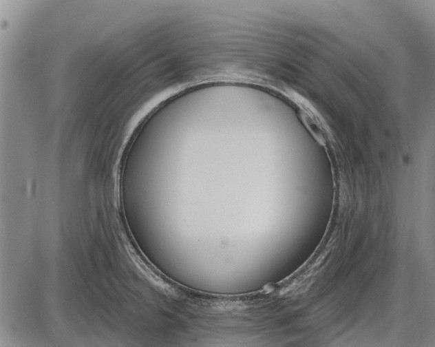 X0000085001238200703261120