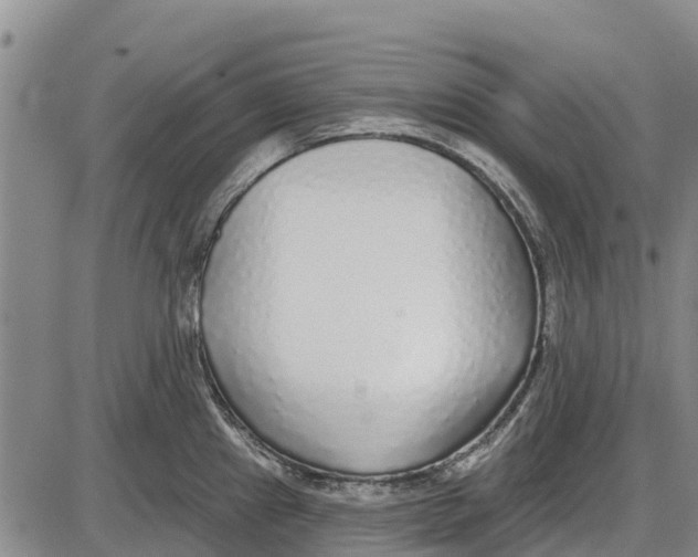 X0000085001241200703261120