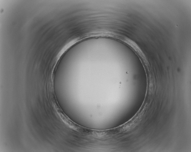 X0000085001242200703261120