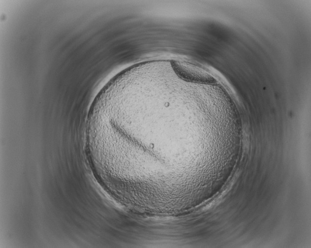 X0000085001244200703261120