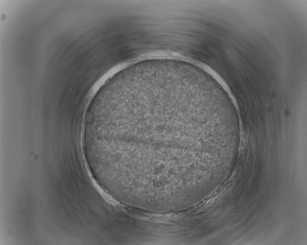 X0000085001245200703261120