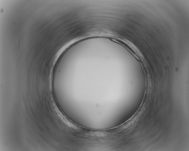 X0000085001246200703261120