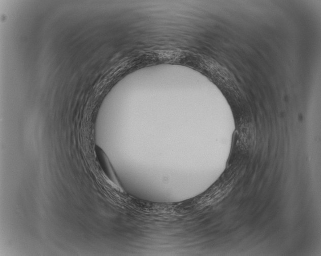 X0000085001249200703261119