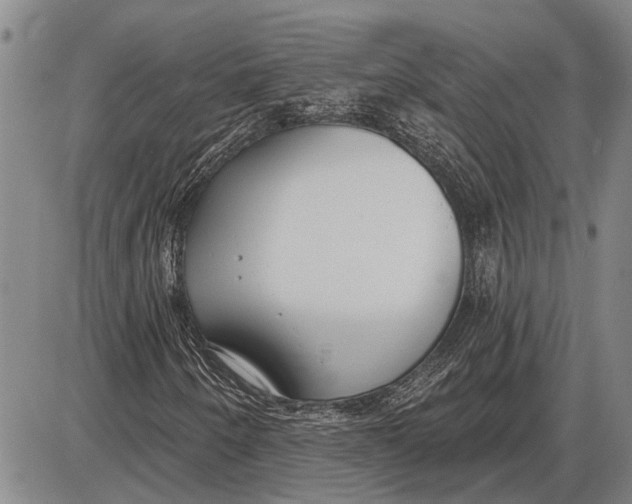 X0000085001250200703261119