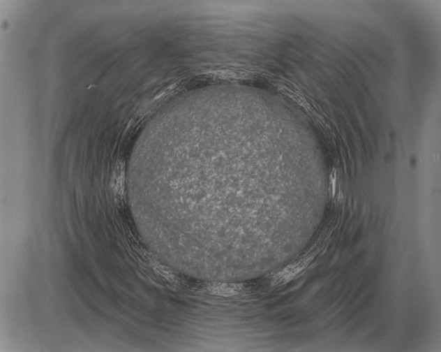 X0000085001251200703261119