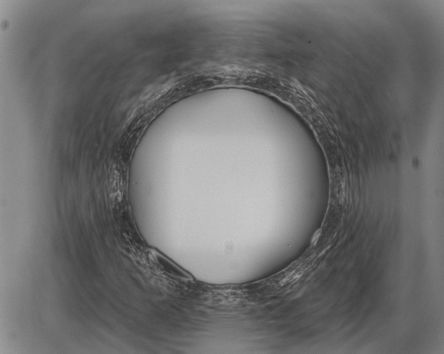 X0000085001253200703261119