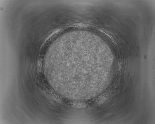 X0000085001254200703261119