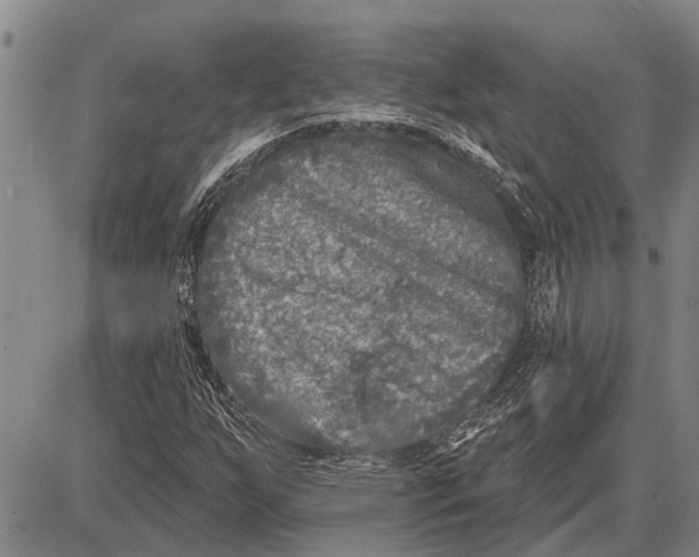 X0000085001255200703261119